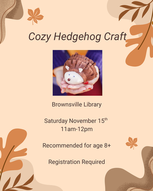 BRO- Cozy Hedgehog C